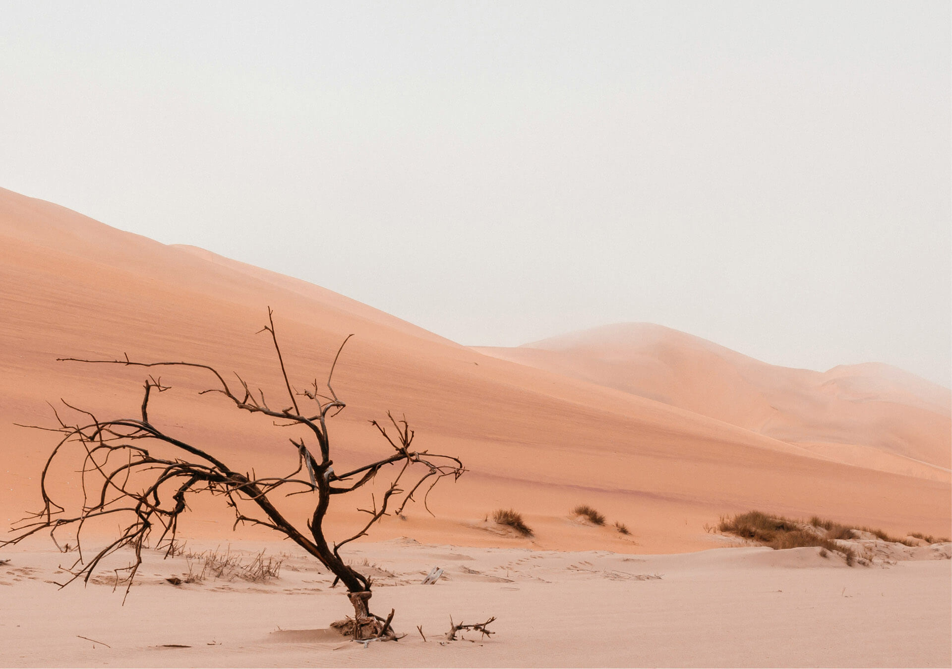 Namibia: The Most Beautiful Country in Africa